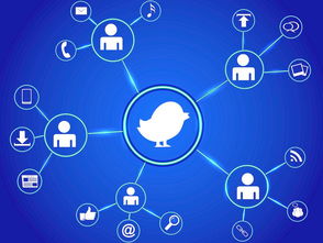 在樹(shù)莓派上安裝 Mosquitto 搭建 MQTT 網(wǎng)絡(luò)文化經(jīng)營(yíng)平臺(tái)